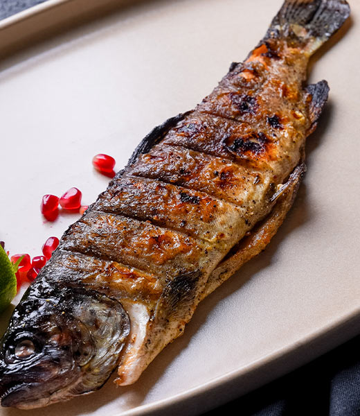 Форель речная